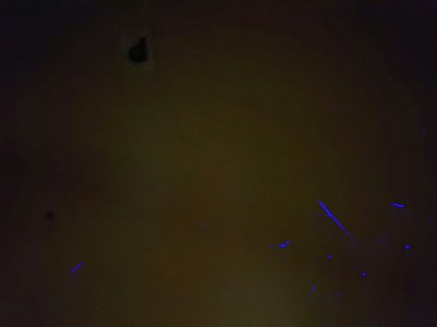 20150803_233344.jpg