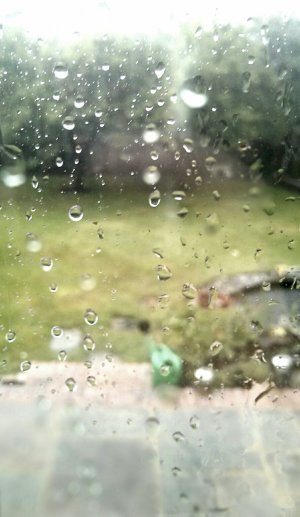 garden.jpg