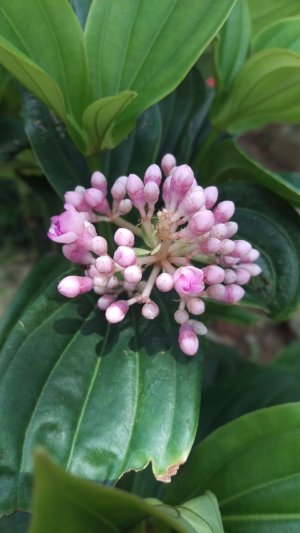 IMAG0137.jpg