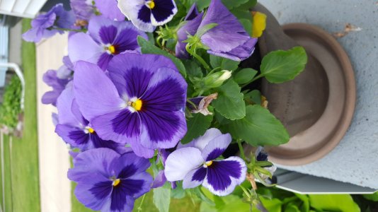 2015-06-05 13.16.36.jpg