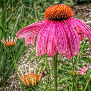 20150621_182315_Richtone(HDR)-01.jpg
