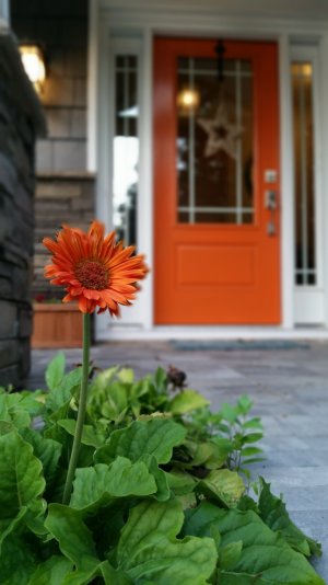 20140724_202918.jpg