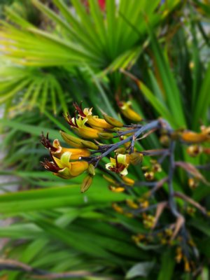 P_20150531_112419_DF.jpg