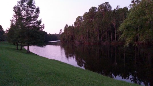 SavedImage_0803150633_01.jpg