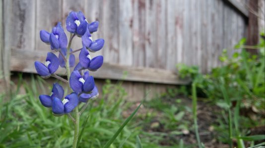 20150412_144110.jpg
