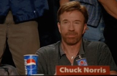Chuck_Norris_Approves.jpg