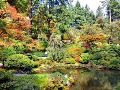 Japanese Garden.jpg