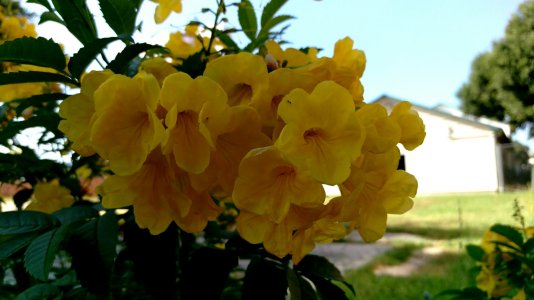 IMAG0811_1.jpg