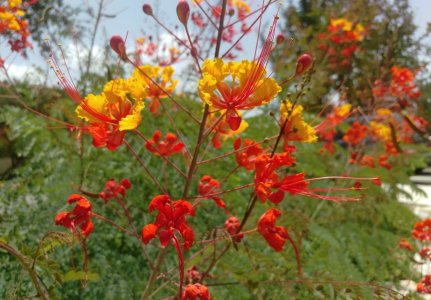 IMAG0793-resize.jpg