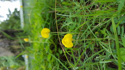 20150717_102707.jpg