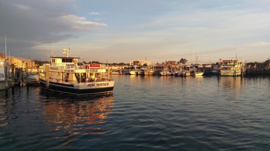 IMAG0753.jpg