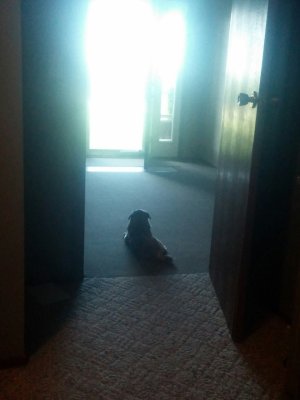 bright light.jpg
