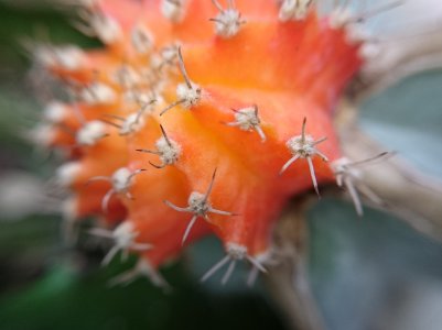 DSC_1189.jpg