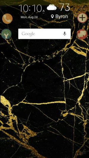1355.jpg