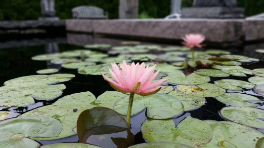 20150620_130408.jpg