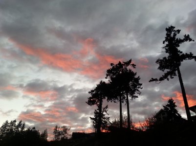 2013-10-27 18.08.00.jpg