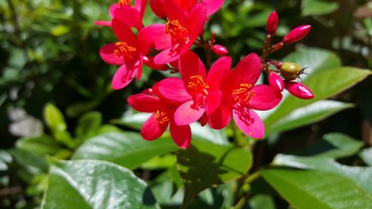 20150508_111837.jpg
