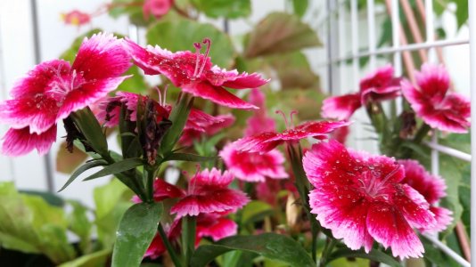 20150520_164437.jpg