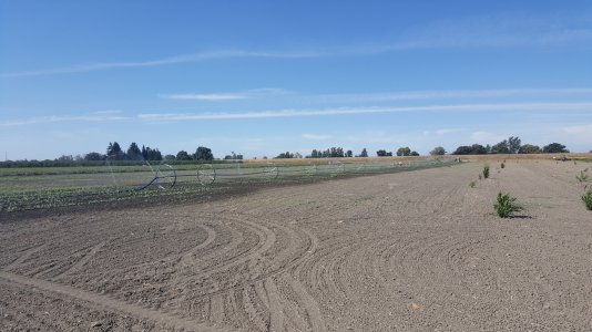 20150823_103135.jpg