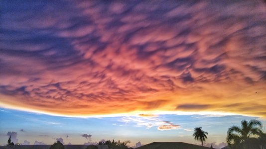 ShelfCloud.jpg