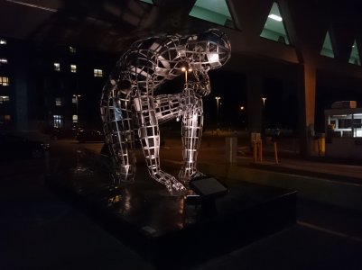 DSC_1306.jpg