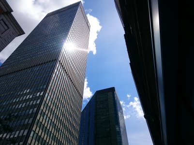 DSC_1354.jpg