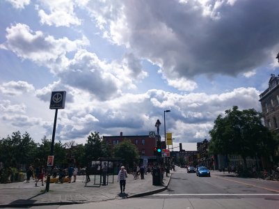 DSC_1370.jpg