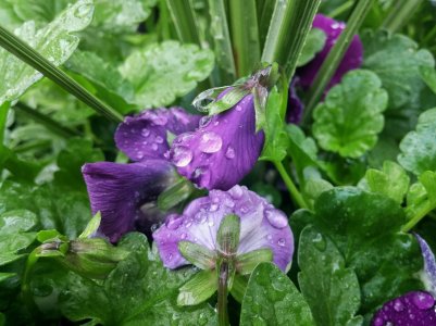 20150514_171229_HDR-01.jpg