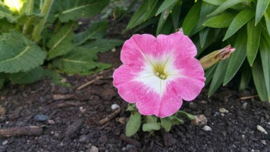 20150509_174846.jpg
