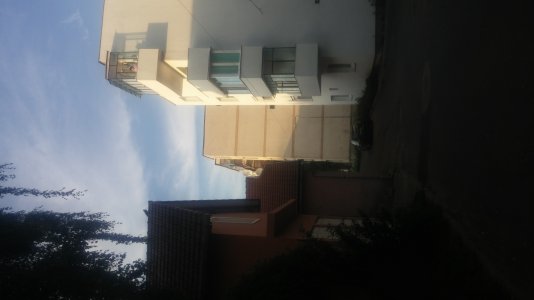 20150825_192340.jpg