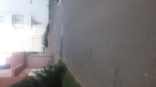 20150825_192335.jpg