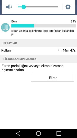 Screenshot_2015-08-10-16-21-27.jpg