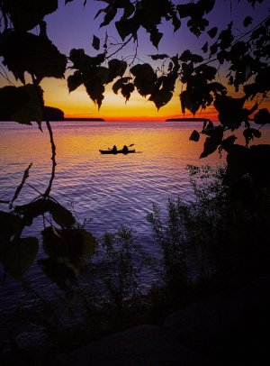 DSC_0031.jpg