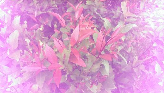 IMG_20150721_184404.jpg