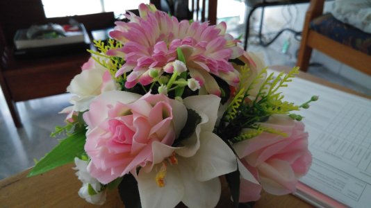 20150721_180250.jpg