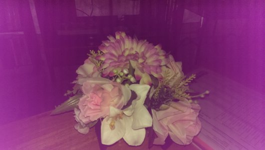 IMG_20150721_180339.jpg