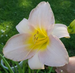 20150719_170048-1.jpg