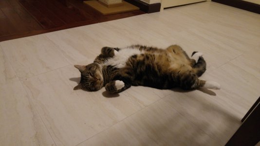 20150720_204431.jpg