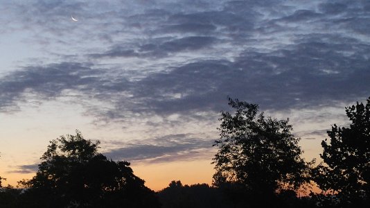 20150812_055143.jpg