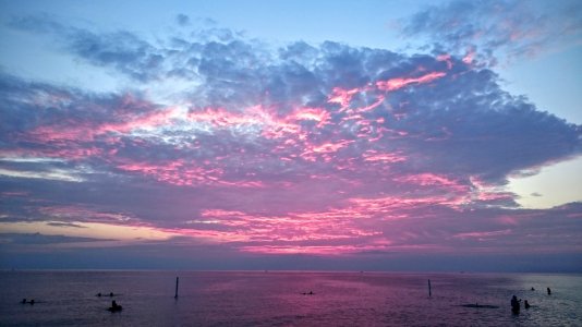 DSC_0155.jpg
