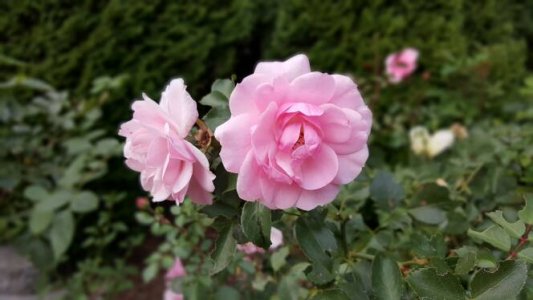 20150826_194320.jpg