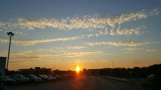 4759.jpg
