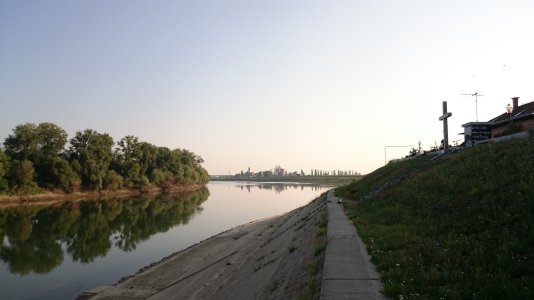 DSC_0317.jpg