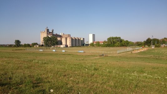 DSC_0977.jpg
