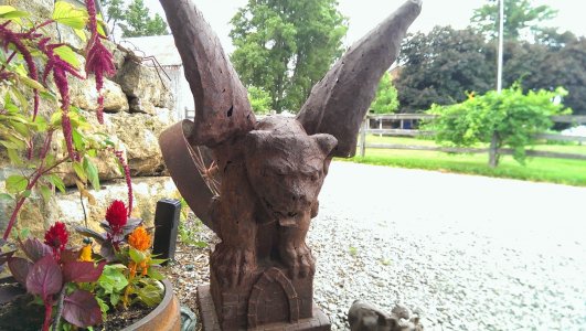 IMAG0071.jpg