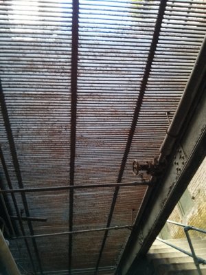 IMG_20130309_141542.jpg