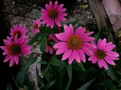 20150626_164643.jpg