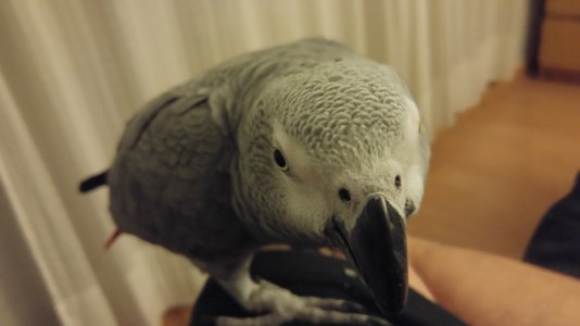 20150813_233336.jpg