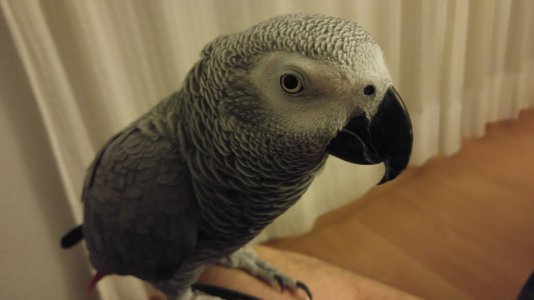 20150813_233356.jpg