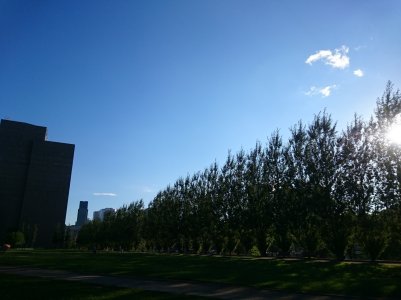 DSC_1424.jpg